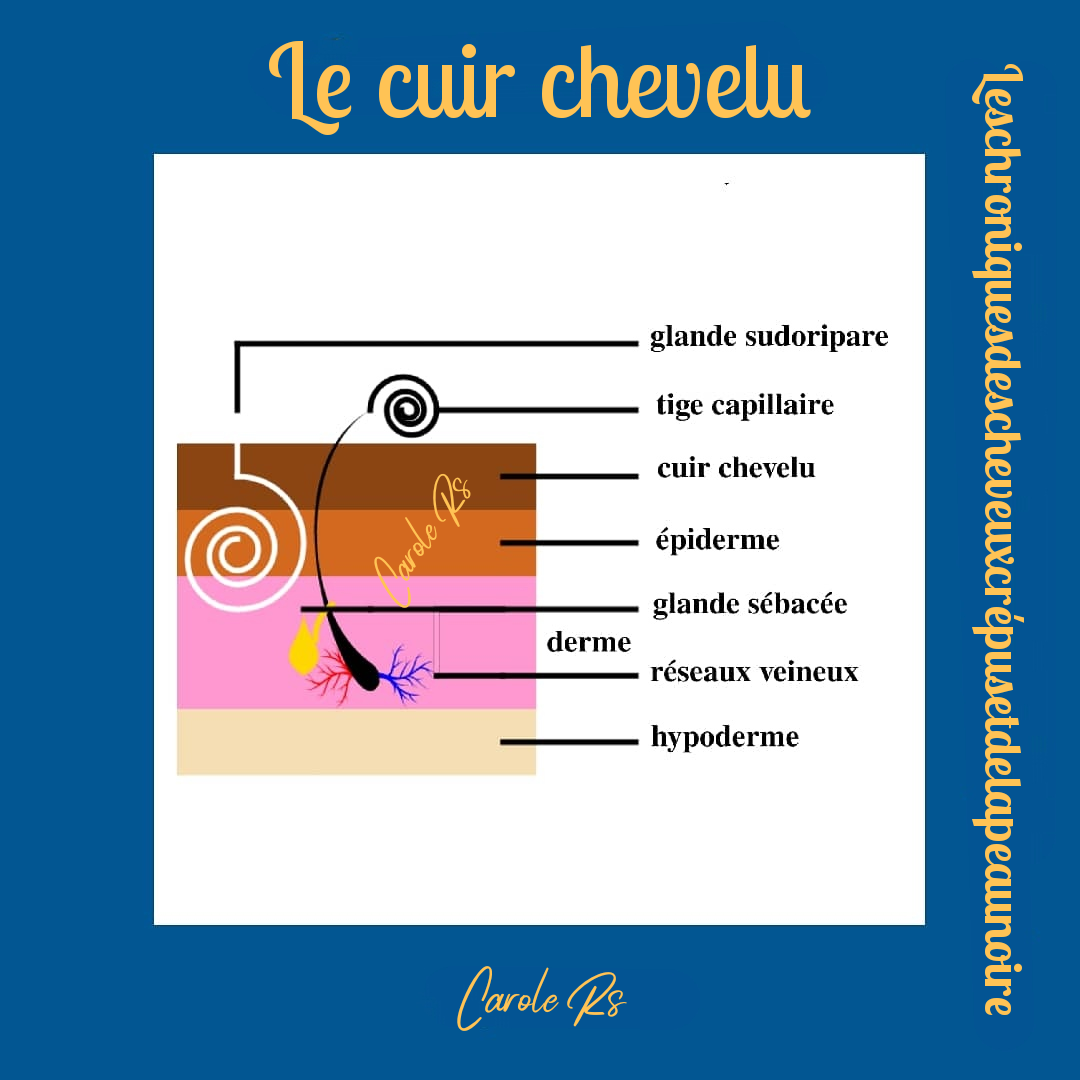 PostPlus1664716807878